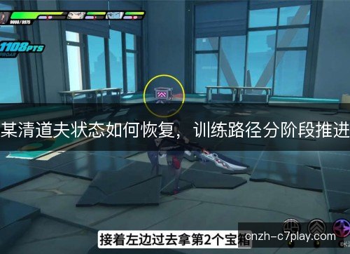 某清道夫状态如何恢复，训练路径分阶段推进